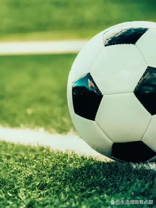 资深球迷实时关注比赛